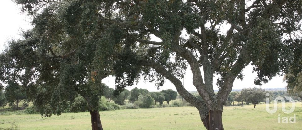 Terreno urbano em Poceirão e Marateca de 76 138 m²