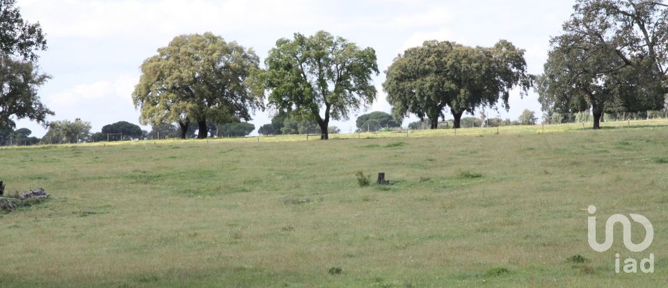 Terreno urbano em Poceirão e Marateca de 76 138 m²