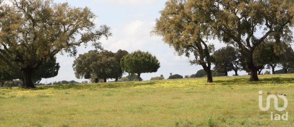 Terreno urbano em Poceirão e Marateca de 76 138 m²