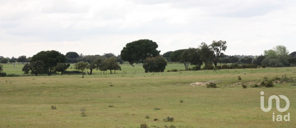 Terreno urbano em Poceirão e Marateca de 76 138 m²
