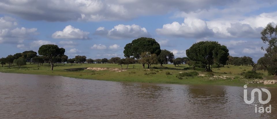 Terreno urbano em Poceirão e Marateca de 76 138 m²