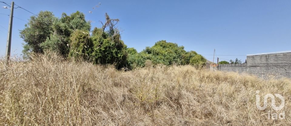 Moradia T3 em Azambujeira e Malaqueijo de 145 m²