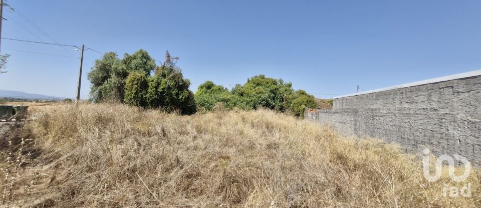 Moradia T3 em Azambujeira e Malaqueijo de 145 m²