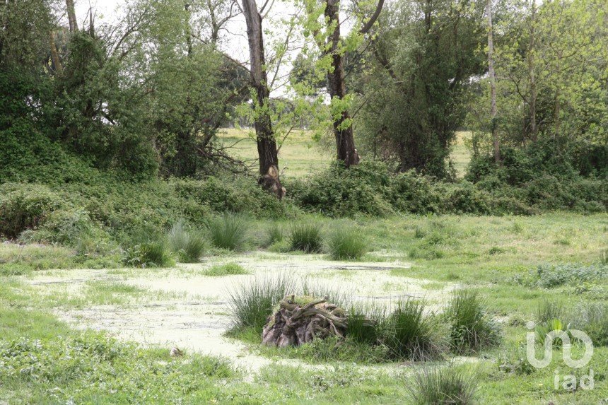 Terreno urbano em Poceirão e Marateca de 793 323 m²