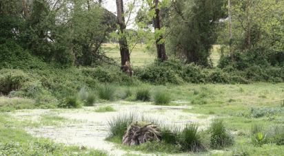 Terrain à bâtir à Poceirão e Marateca de 793 323 m²