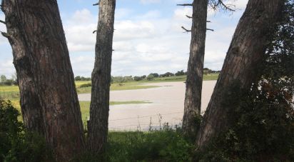 Terrain à bâtir à Poceirão e Marateca de 793 323 m²