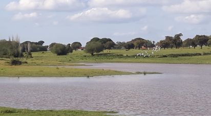 Terrain à bâtir à Poceirão e Marateca de 793 323 m²