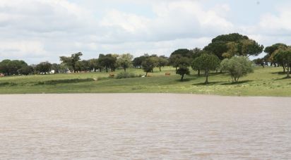 Terrain à bâtir à Poceirão e Marateca de 793 323 m²