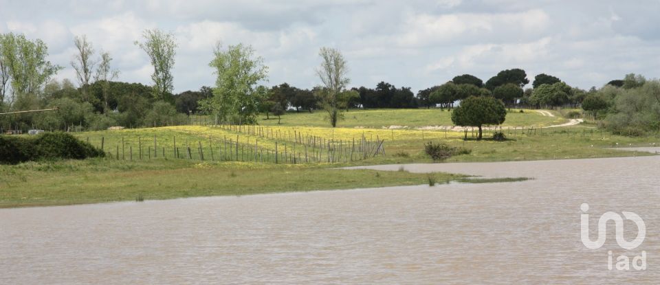 Terreno urbano em Poceirão e Marateca de 793 323 m²