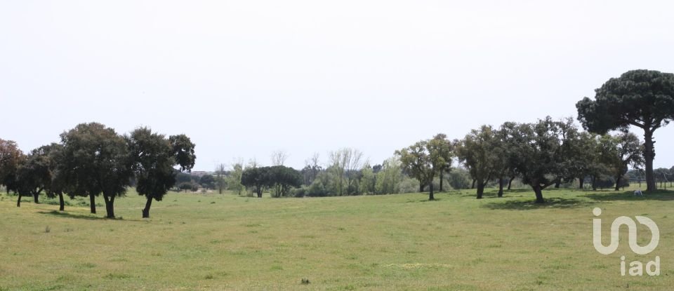 Terreno urbano em Poceirão e Marateca de 793 323 m²