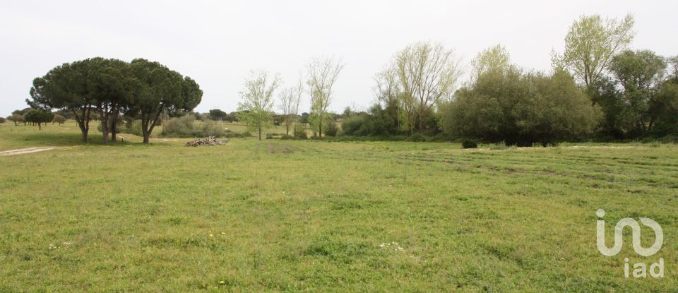 Terreno urbano em Poceirão e Marateca de 793 323 m²