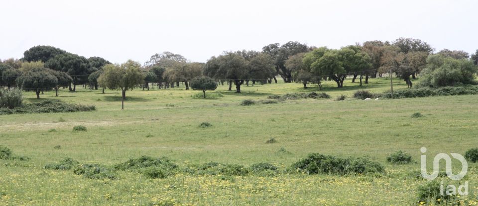 Terreno urbano em Poceirão e Marateca de 793 323 m²