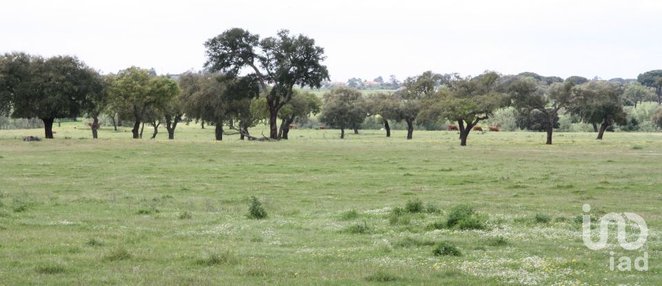 Terreno urbano em Poceirão e Marateca de 793 323 m²