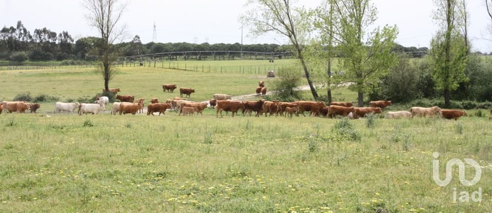 Terreno urbano em Poceirão e Marateca de 793 323 m²