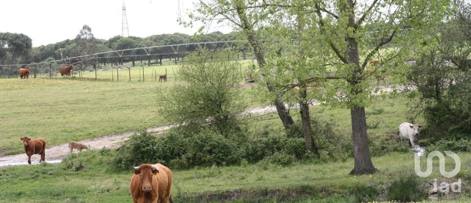 Terreno urbano em Poceirão e Marateca de 793 323 m²