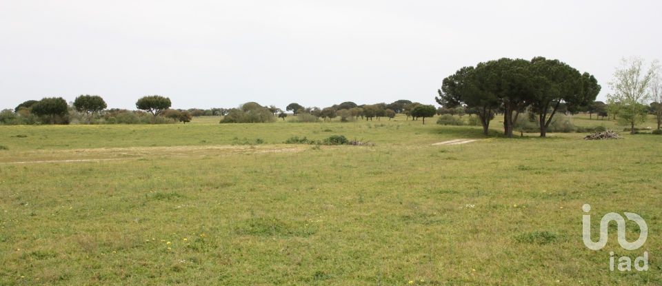 Terreno urbano em Poceirão e Marateca de 793 323 m²