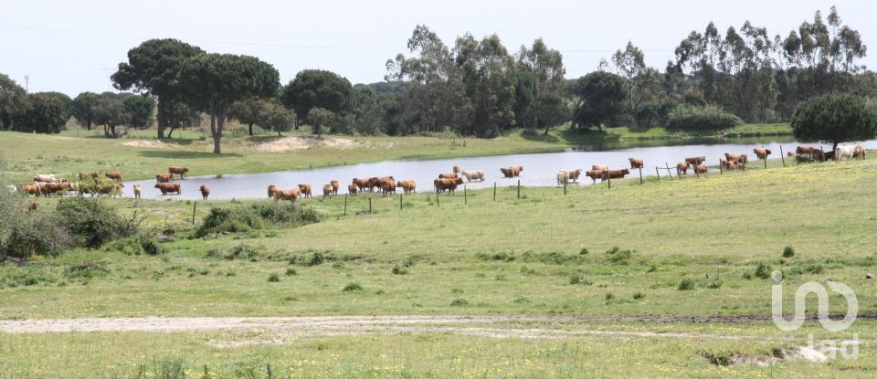 Terreno urbano em Poceirão e Marateca de 793 323 m²