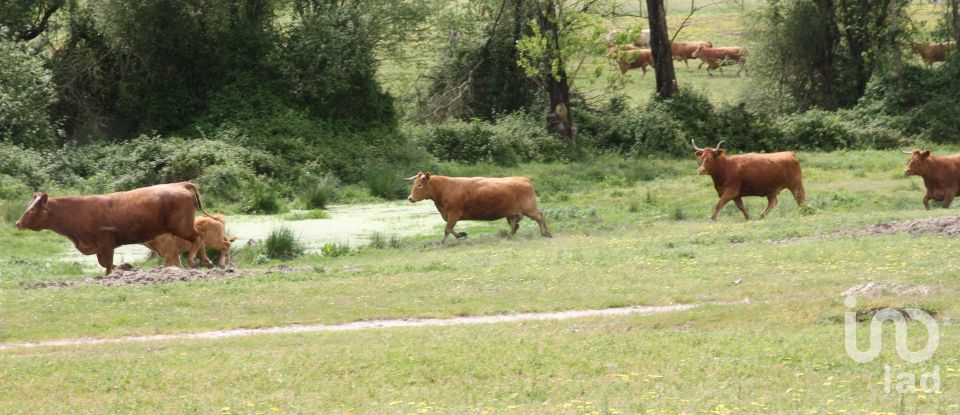 Terreno urbano em Poceirão e Marateca de 793 323 m²
