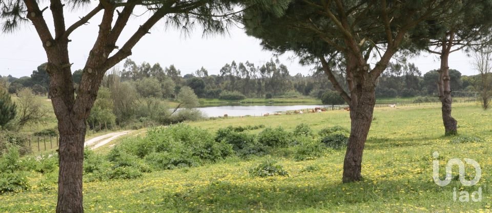 Terreno urbano em Poceirão e Marateca de 793 323 m²