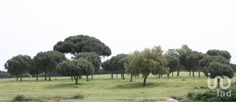 Terreno urbano em Poceirão e Marateca de 793 323 m²