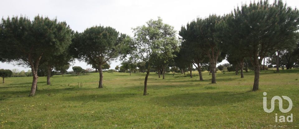 Terreno urbano em Poceirão e Marateca de 793 323 m²