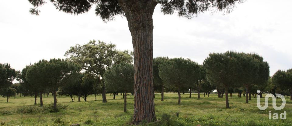 Terreno urbano em Poceirão e Marateca de 793 323 m²