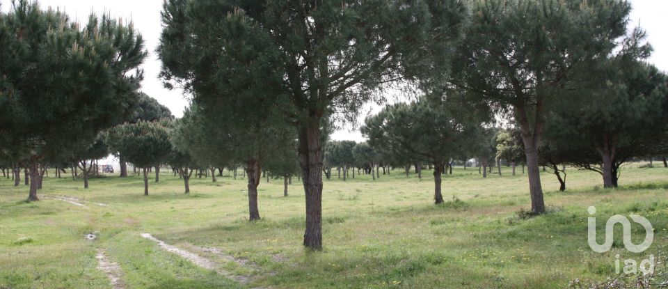 Terreno urbano em Poceirão e Marateca de 793 323 m²