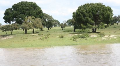 Building plot in Poceirão e Marateca of 869,461 m²