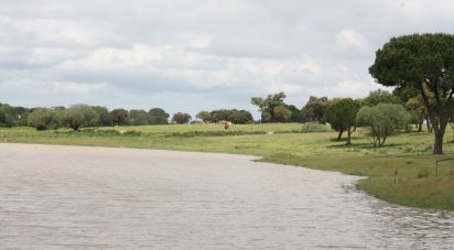 Terrain à bâtir à Poceirão e Marateca de 869 461 m²