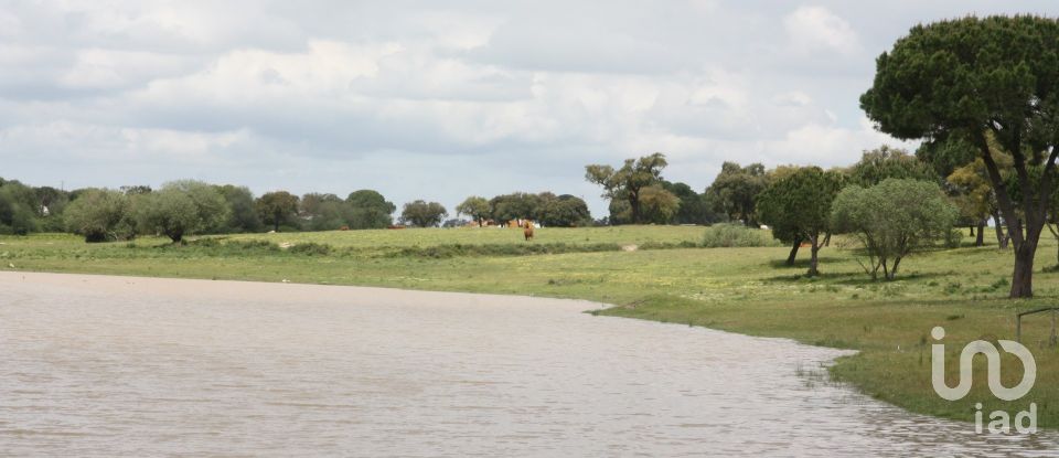 Terreno urbano em Poceirão e Marateca de 869 461 m²