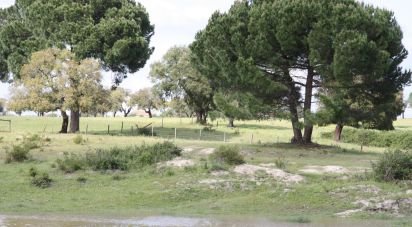 Terrain à bâtir à Poceirão e Marateca de 869 461 m²