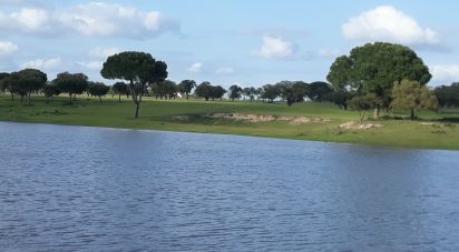 Terrain à bâtir à Poceirão e Marateca de 869 461 m²