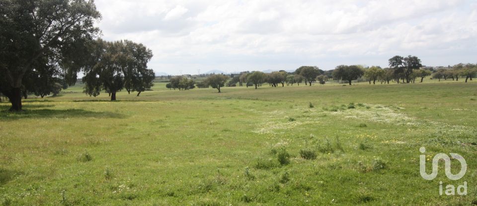 Terreno urbano em Poceirão e Marateca de 869 461 m²