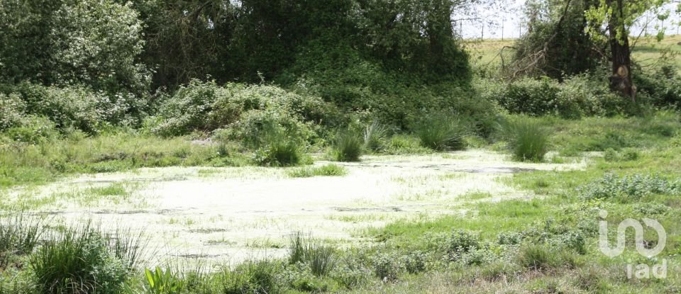 Terreno urbano em Poceirão e Marateca de 869 461 m²