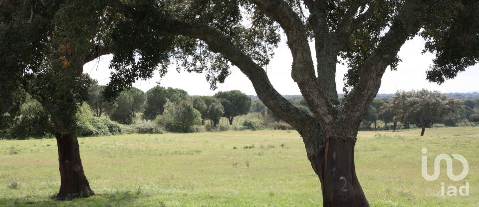 Terreno urbano em Poceirão e Marateca de 869 461 m²