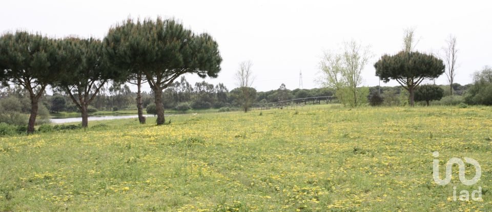 Terreno urbano em Poceirão e Marateca de 869 461 m²