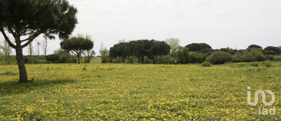 Terreno urbano em Poceirão e Marateca de 869 461 m²