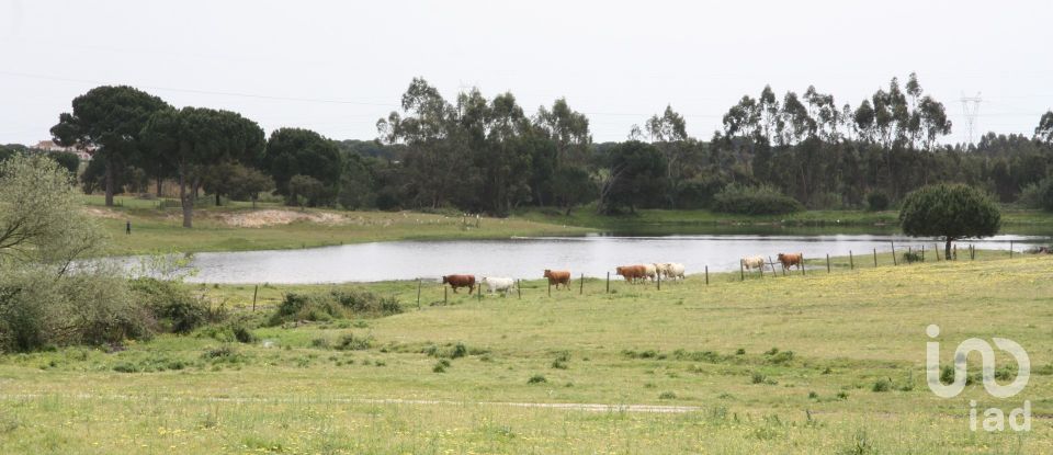 Terreno urbano em Poceirão e Marateca de 869 461 m²