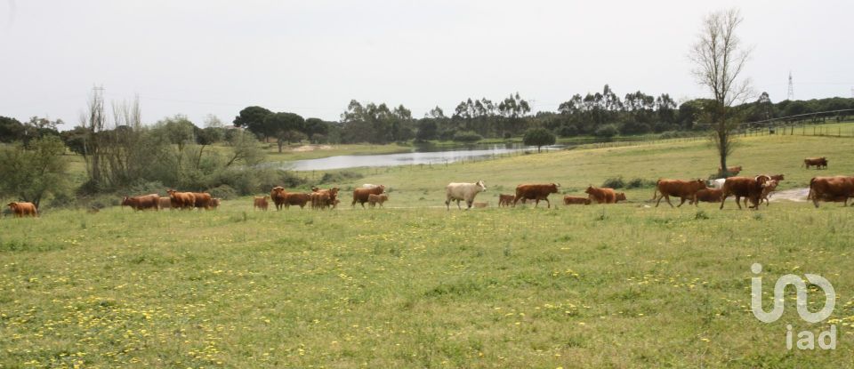 Terreno urbano em Poceirão e Marateca de 869 461 m²