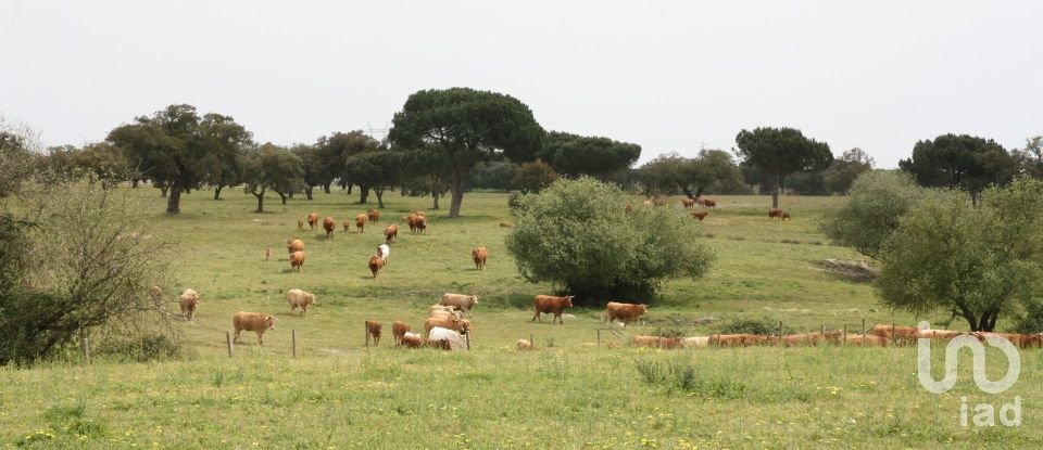 Terreno urbano em Poceirão e Marateca de 869 461 m²