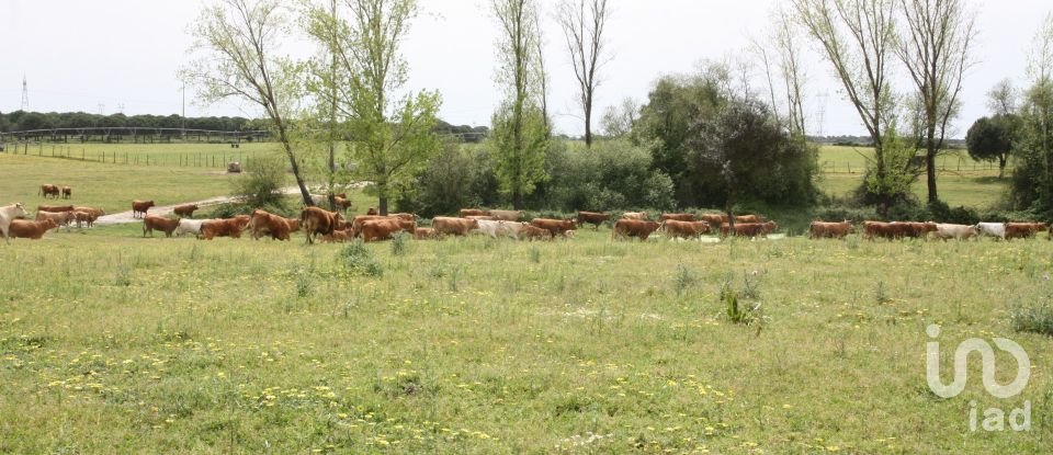 Terreno urbano em Poceirão e Marateca de 869 461 m²