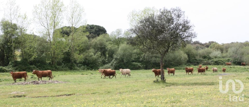 Terreno urbano em Poceirão e Marateca de 869 461 m²