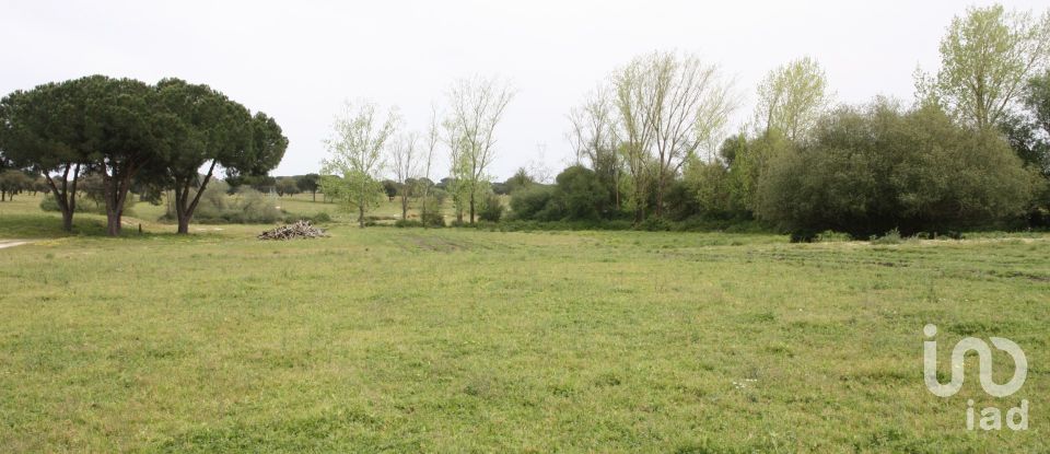 Terreno urbano em Poceirão e Marateca de 869 461 m²