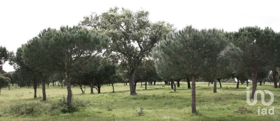 Terreno urbano em Poceirão e Marateca de 869 461 m²