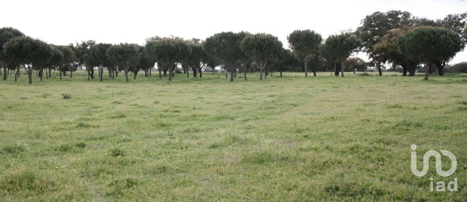 Terreno urbano em Poceirão e Marateca de 869 461 m²