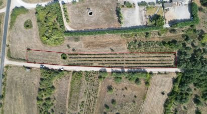 Terrain agricole à Cumeeira de 2 438 m²