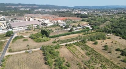 Terrain agricole à Cumeeira de 2 438 m²