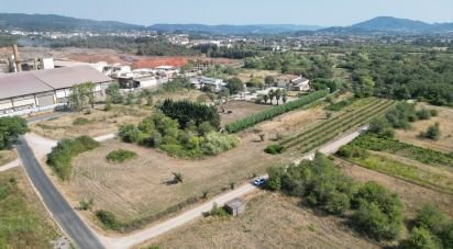 Terrain agricole à Cumeeira de 2 438 m²