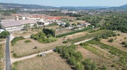 Terrain agricole à Cumeeira de 2 438 m²