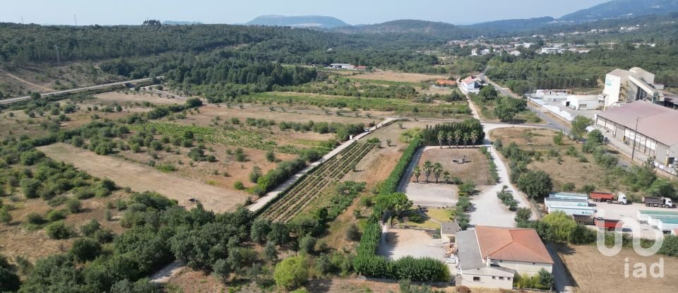 Terreno rústico em Cumeeira de 2 438 m²